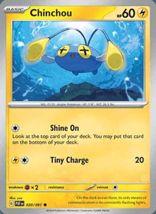 Chinchou (2024)