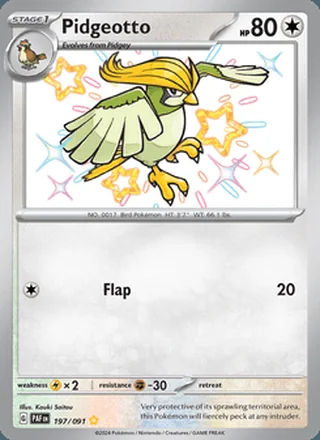 Pidgeotto (2024)