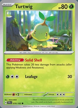 Turtwig (2024)