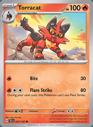 Torracat (2024)