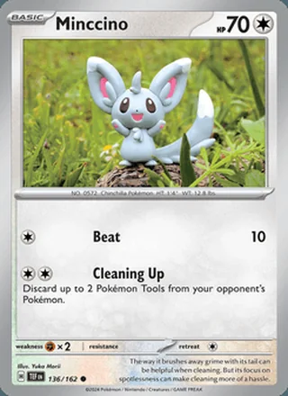 Minccino (2024)