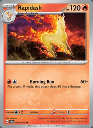 Rapidash (2024)