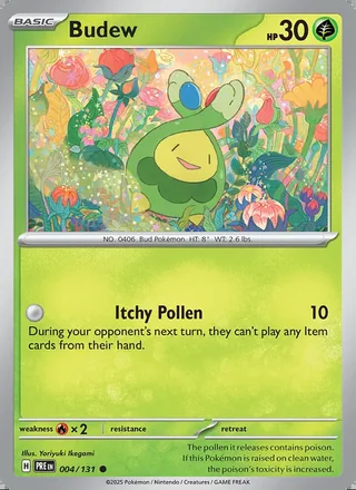 Budew (2025)