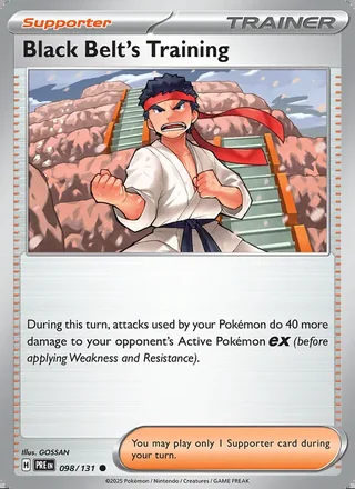 Black Belt's Training (2025)