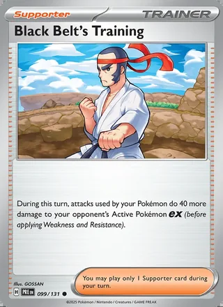Black Belt's Training (2025)