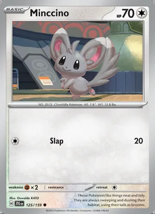 Minccino (2025)