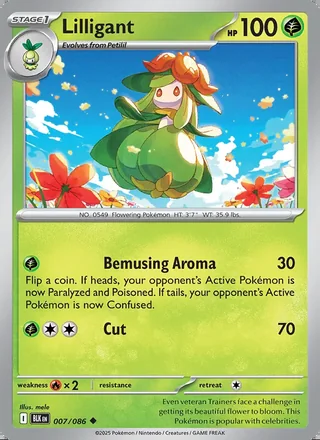 Lilligant (2025)