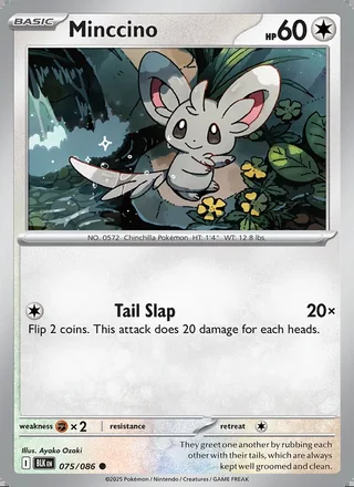 Minccino (2025)