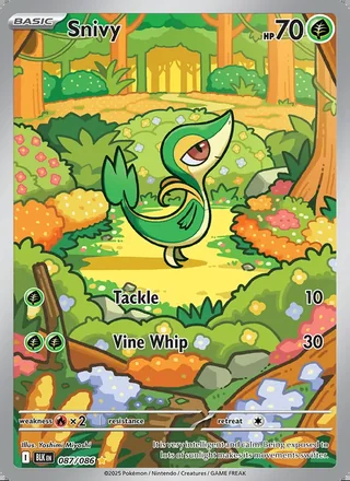 Snivy (2025)