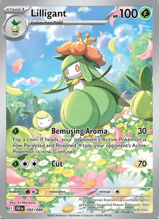 Lilligant (2025)