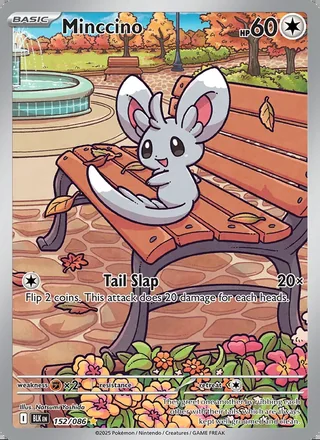 Minccino (2025)