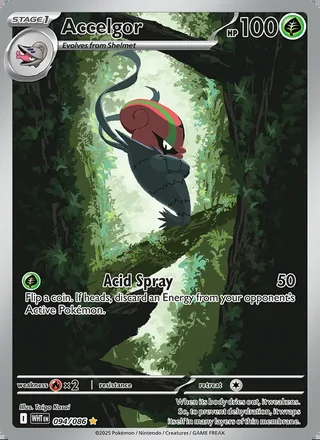 Accelgor (2025)