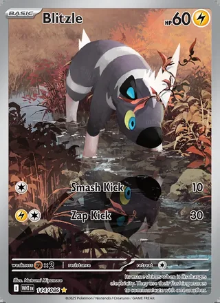 Blitzle (2025)