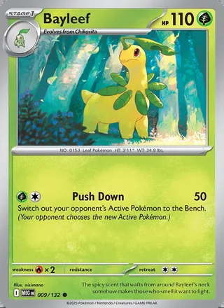 Bayleef (2025)