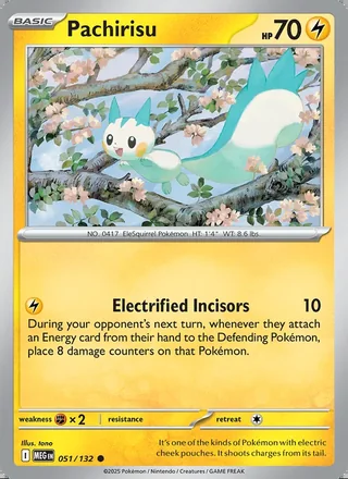 Pachirisu (2025)
