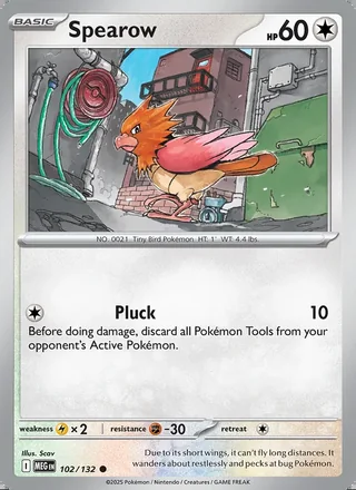 Spearow (2025)