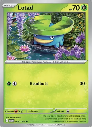 Lotad (2025)