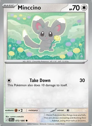 Minccino (2026)