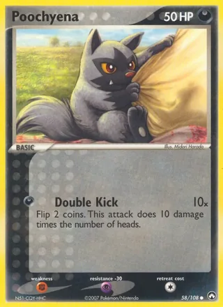 Poochyena (2007)