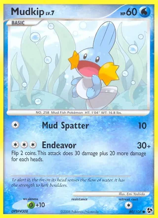 Mudkip (2008)