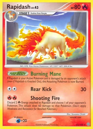 Rapidash (2008)
