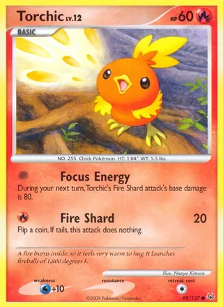 Torchic (2009)