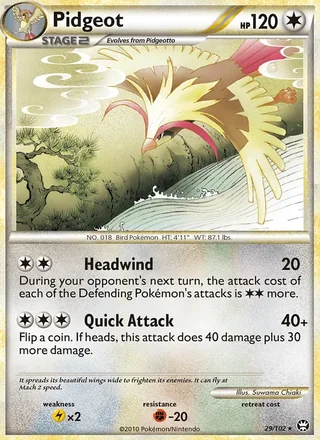 Pidgeot (2010)