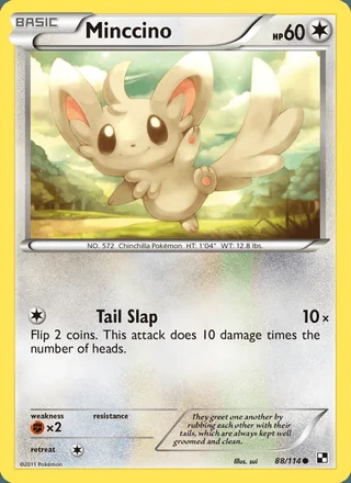 Minccino (2011)