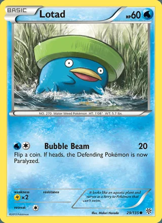 Lotad (2013)
