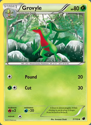 Grovyle (2013)