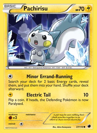 Pachirisu (2013)