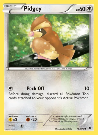 Pidgey (2014)