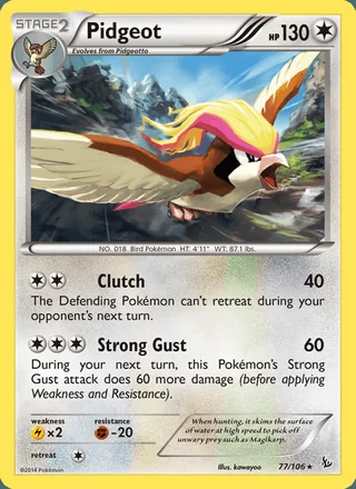 Pidgeot (2014)