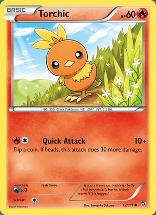 Torchic (2014)