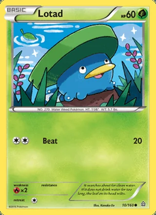 Lotad (2015)