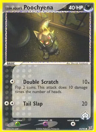 Team Aqua's Poochyena (2004)
