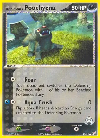 Team Aqua's Poochyena (2004)