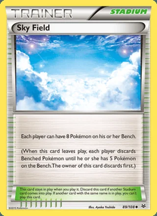 Sky Field (2015)