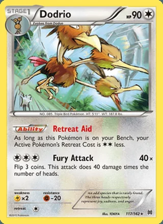 Dodrio (2015)