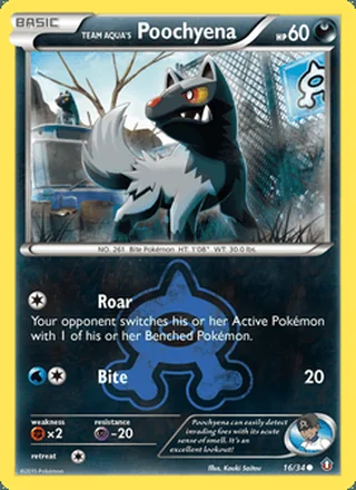 Team Aqua's Poochyena (2015)