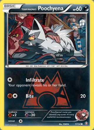 Team Magma's Poochyena (2015)