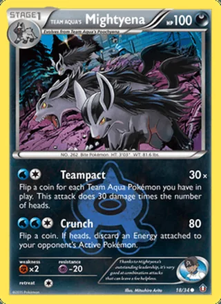 Team Aqua's Mightyena (2015)