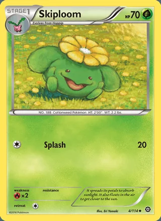 Skiploom (2016)