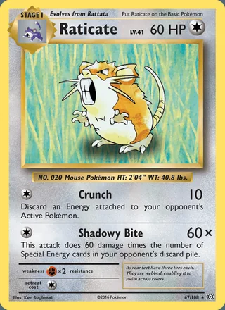 Raticate (2016)