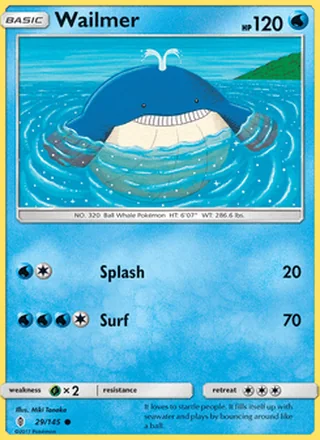 Wailmer (2017)
