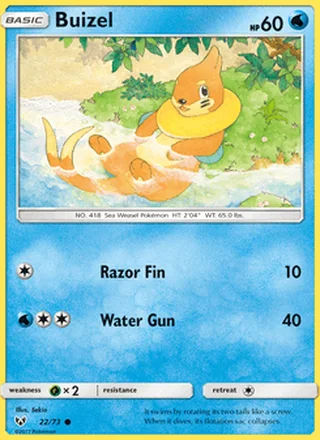 Buizel (2017)