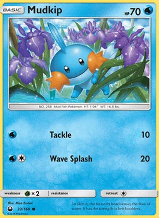 Mudkip (2018)
