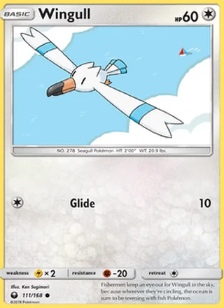 Wingull (2018)