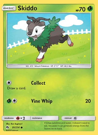 Skiddo (2018)