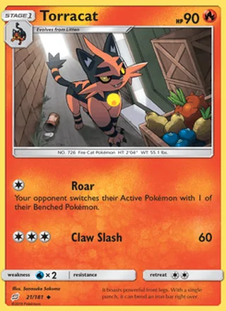Torracat (2019)